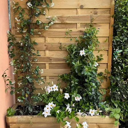 Holiday home Casina Delle Note